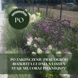 Wytwory Zieleni Projektowanie Ogrodów - Rabata kwiatowa z hortensjami 'Anabelle' i werbeną patagońską, widok po zakończeniu prac, z dekoracyjnym napisem 'Metamorfoza PO'.