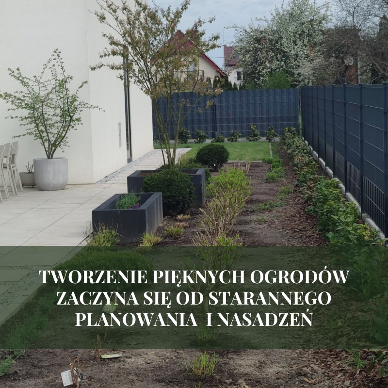 Nowoczesny ogród w trakcie zakładania: rabata z młodymi roślinami, trzy betonowe donice z bukszpanami, drzewko w donicy, szara ściana budynku i metalowe ogrodzenie w tle.