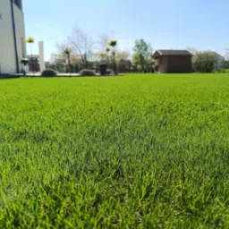 Soczysta, kr&oacute;tko przystrzyżona trawa na tle nowoczesnego domu i ogrodu z elementami małej architektury. Niski kąt ujęcia podkreśla gęstość trawnika.