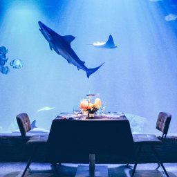 WYJĄTKOWY PREZENT SPÓŁKA Z OGRANICZONĄ ODPOWIEDZIALNOŚCIĄ - Uroczysty stół nakryty dla dwojga ustawiony przed ogromnym akwarium z rekinami i płaszczkami, oświetlony delikatnym, błękitnym światłem, kwiaty w centralnej części stołu.