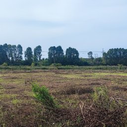 T.k pogotowie ogrodnicze - Doskonałej Jakości Ogrody Kutno