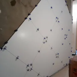 Świeżo położone, białe płytki ścienne z niebieskimi krzyżykami dystansowymi i czarnymi sznurkami wyznaczającymi linie, na tle surowej ściany.