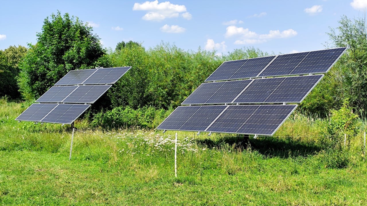 Dwa panele fotowoltaiczne ustawione na łące z bujną zielenią w tle, zamontowane na metalowych stelażach, widoczne białe kwiaty w trawie.