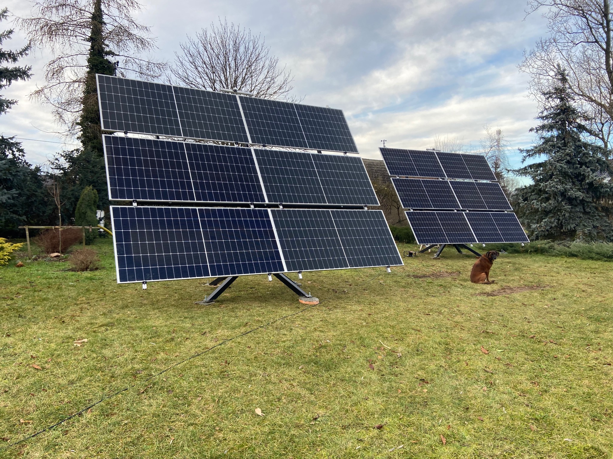 Dwa panele fotowoltaiczne na trawniku w ogrodzie, z brązowym psem siedzącym obok jednego z nich. Widoczne drzewa i pochmurne niebo w tle.