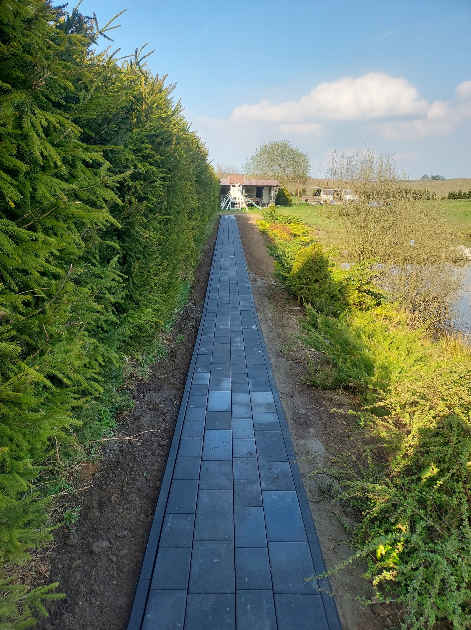 Ścieżka z ciemnej kostki brukowej prowadząca przez ogród w Kościerzynie, otoczona tujami i krzewami, w tle dom i błękitne niebo.