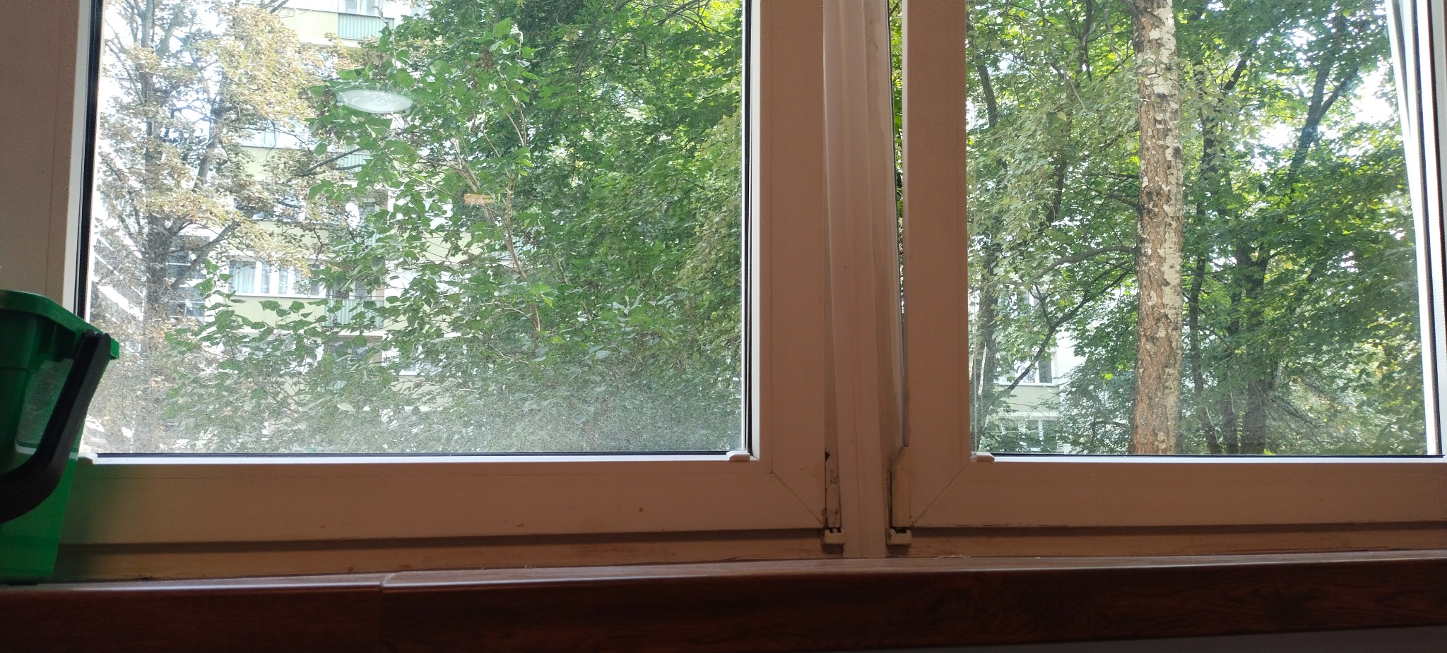Widok z okna na zieleń drzew, z widocznym zielonym wiadrem na parapecie. Okno jest lekko zabrudzone.
