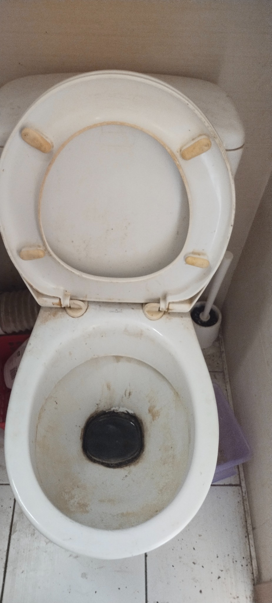 Zaniedbana toaleta z otwartą klapą, widoczne zabrudzenia i osady. Szczotka do WC obok. Potrzeba gruntownego czyszczenia.