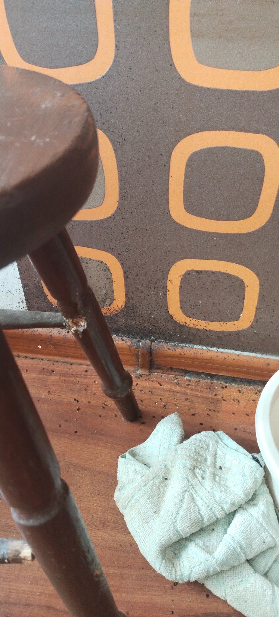 Zanieczyszczona podłoga z drewnianych paneli, brudna ściana z wzorem, fragment krzesła i szmatka. Widoczne zabrudzenia i kurz.