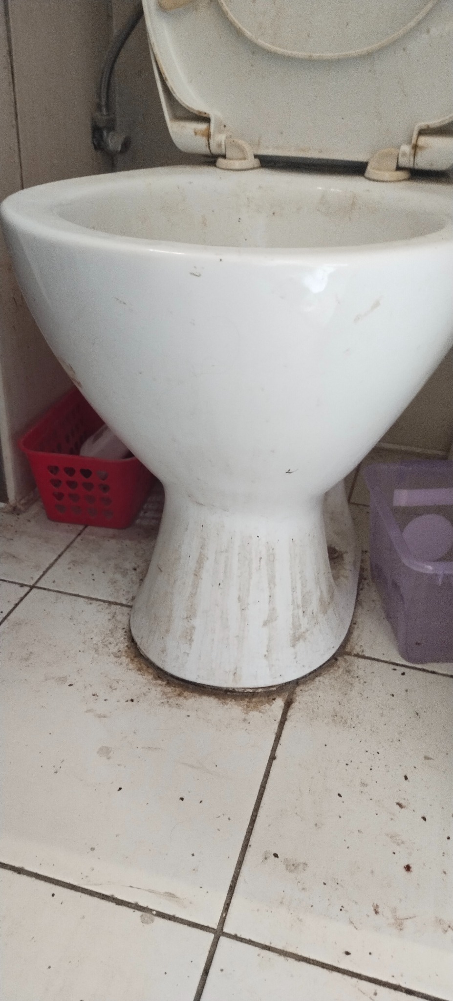 Brudna toaleta z otwartą klapą, widoczne zabrudzenia na ceramice i podłodze. Czerwony i fioletowy pojemnik w tle. Potrzeba gruntownego sprzątania.