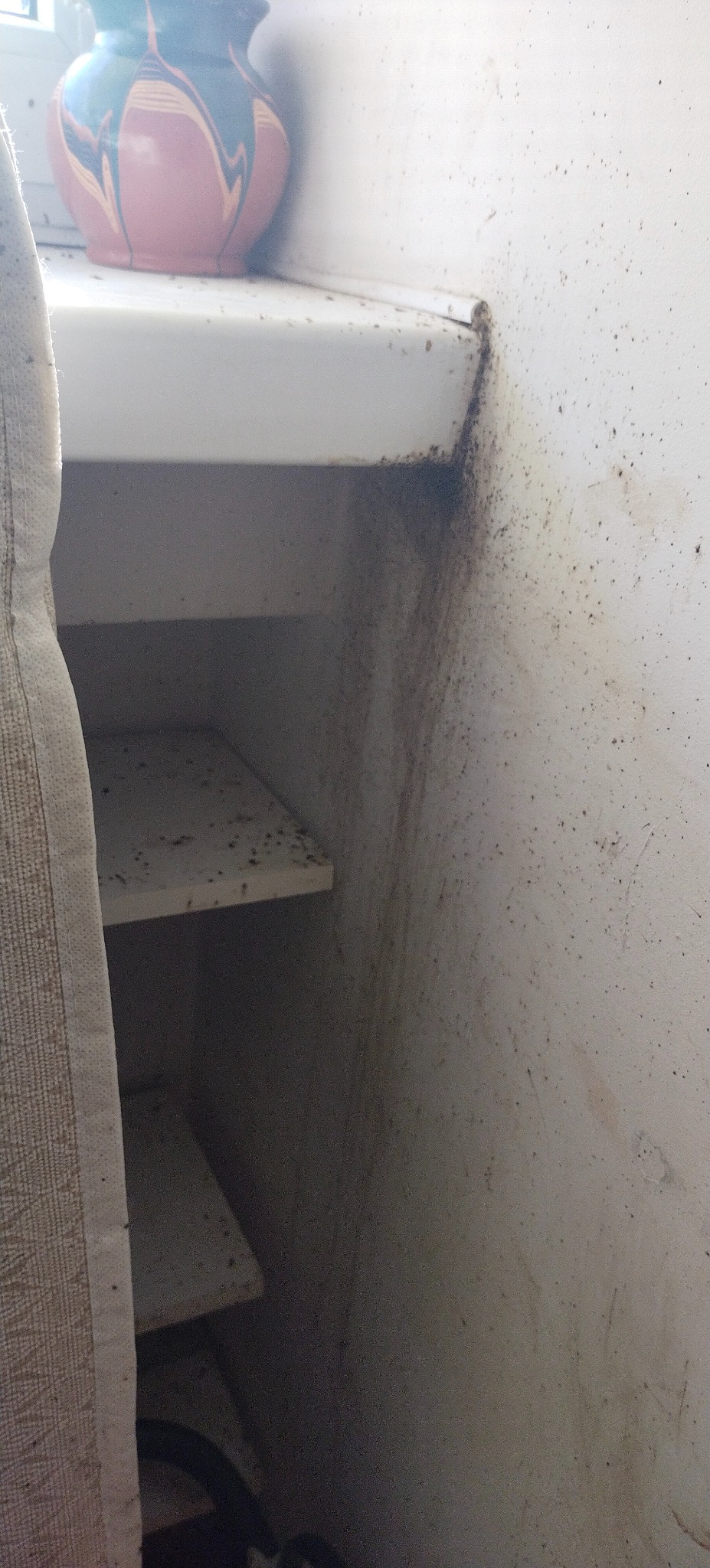 Zabrudzona półka w szafie z widocznymi plamami i kurzem, obok stoi wazon. W tle ściana z licznymi zabrudzeniami. W rogu kadru fragment zasłony.