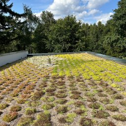 Naprawa dachów Warszawa 3