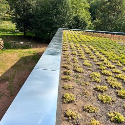 Dach płaski zielony