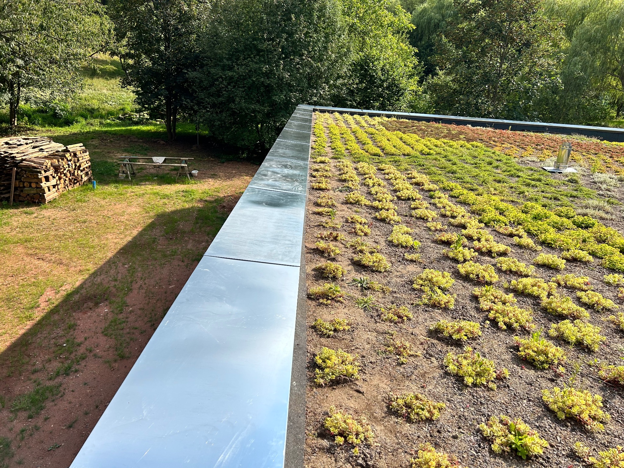 Zielony dach z roślinnością, widok z góry na metalową obróbkę blacharską i rozległy widok na otoczenie z drzewami i stertą drewna.