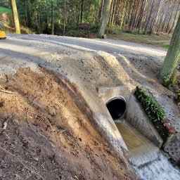 Mini Kop Eryk Kujawa - Betonowy przepust rurowy pod drogą gruntową, odprowadzający wodę do strumienia, otoczony lasem.