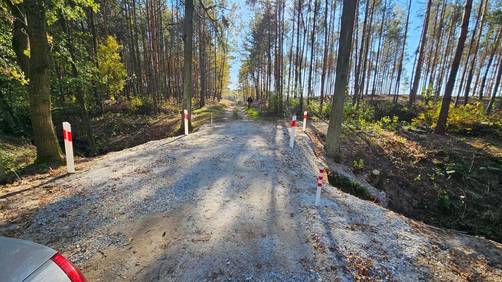 Ulepszona droga gruntowa przez las, wyznaczona białymi słupkami z czerwonymi pasami, widoczny pieszy w oddali, świeżo wysypany żwir.