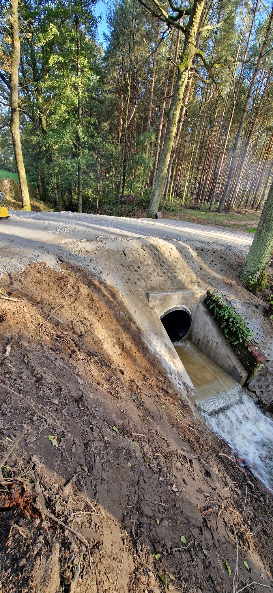 Betonowy przepust rurowy pod drogą gruntową, odprowadzający wodę do strumienia, otoczony lasem.