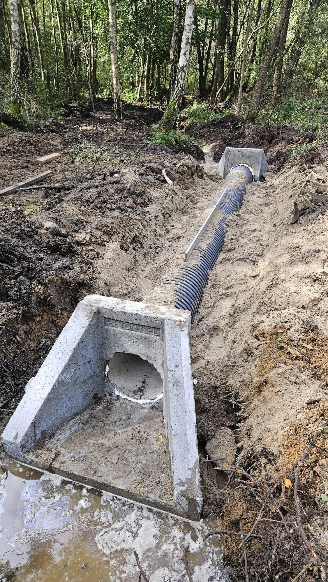 Rów z betonowymi studzienkami i perforowaną rurą odprowadzającą wodę, otoczony ziemią i drzewami.