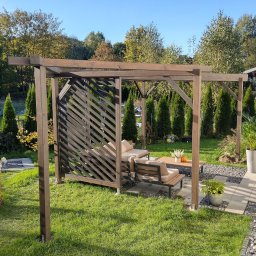 Zadaszenie tarasu 3x4 metry oraz miejsce na huśtawkę oraz hamak.