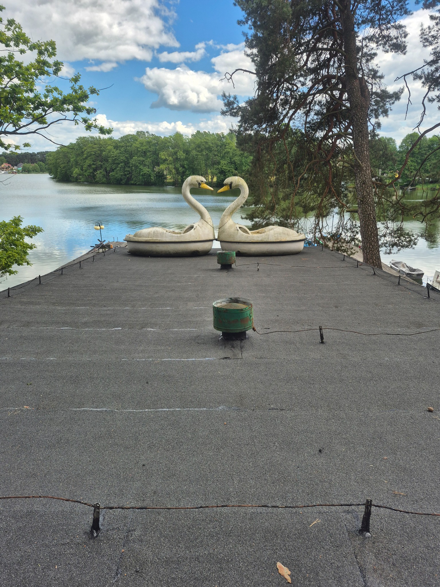 Bitumiczna powierzchnia dachu z dwoma łabędzimi łódkami w tle jeziora i drzew. Widoczne kominki wentylacyjne i mocowania lin zabezpieczających.