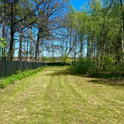 Długa, równo przystrzyżona trawa w ogrodzie otoczonym ciemnym, panelowym ogrodzeniem, z widocznymi rzędami drzew w tle pod błękitnym niebem.