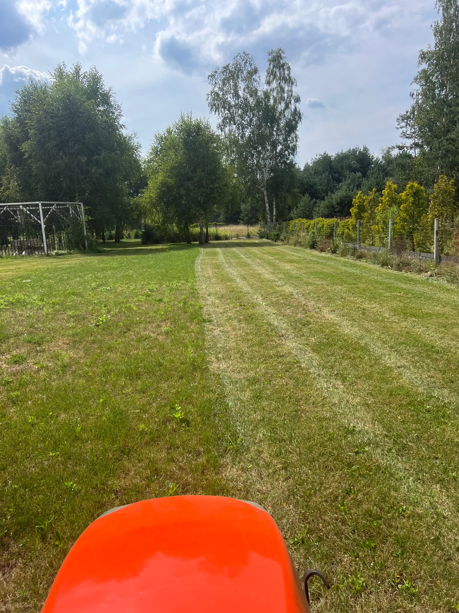 Widok z perspektywy operatora na świeżo skoszoną trawę, widoczne równe pasy i fragment pomarańczowego traktorka, w tle drzewa i ogrodzenie z siatki.