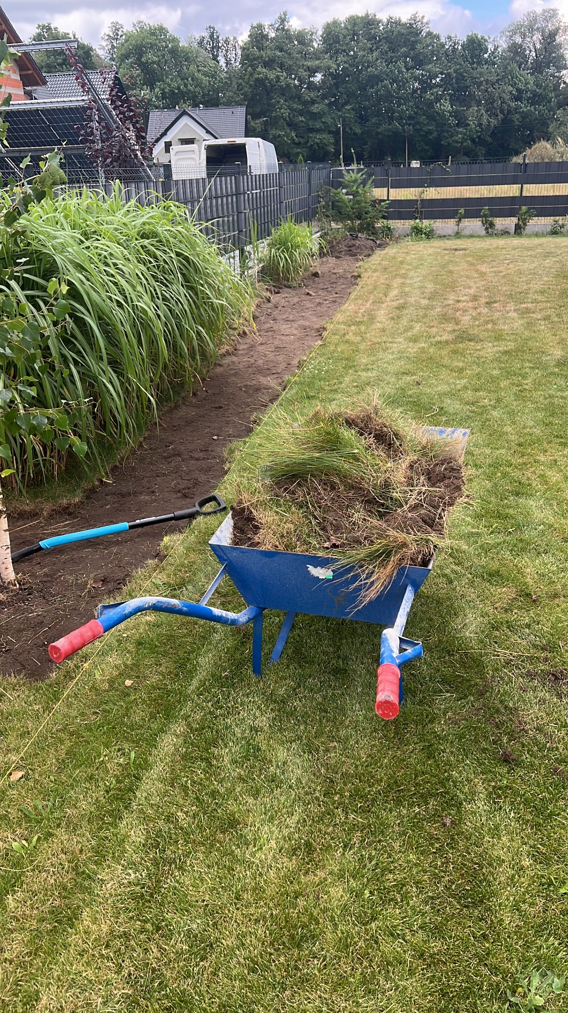 Niebieska taczka wypełniona darnią i ziemią stoi na trawniku obok wykopanego rowu, w tle widoczne ogrodzenie panelowe i zabudowa jednorodzinna.