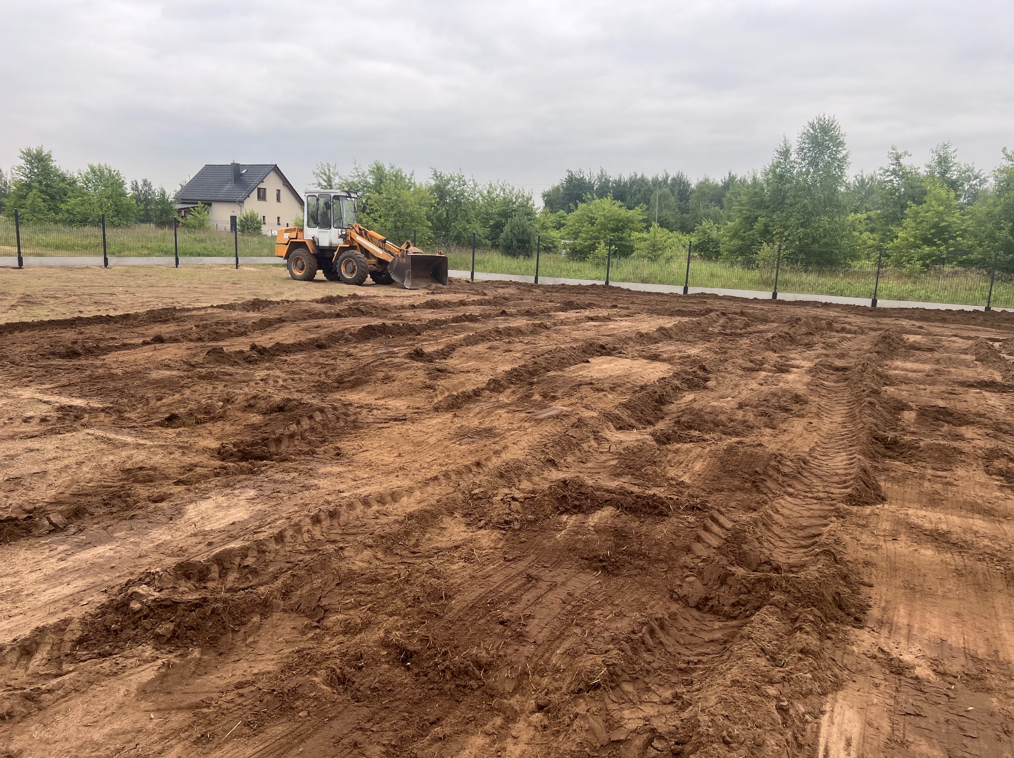 Żółta ładowarka kołowa na nierównym, przygotowanym podłożu, widoczne ślady opon, w tle dom jednorodzinny i linia drzew, teren ogrodzony siatką.