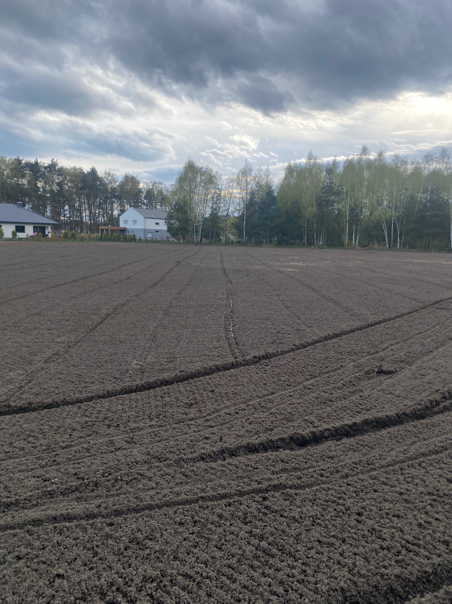 Przygotowany grunt pod trawnik z widocznymi śladami po maszynach, w tle domy i drzewa pod pochmurnym niebem.