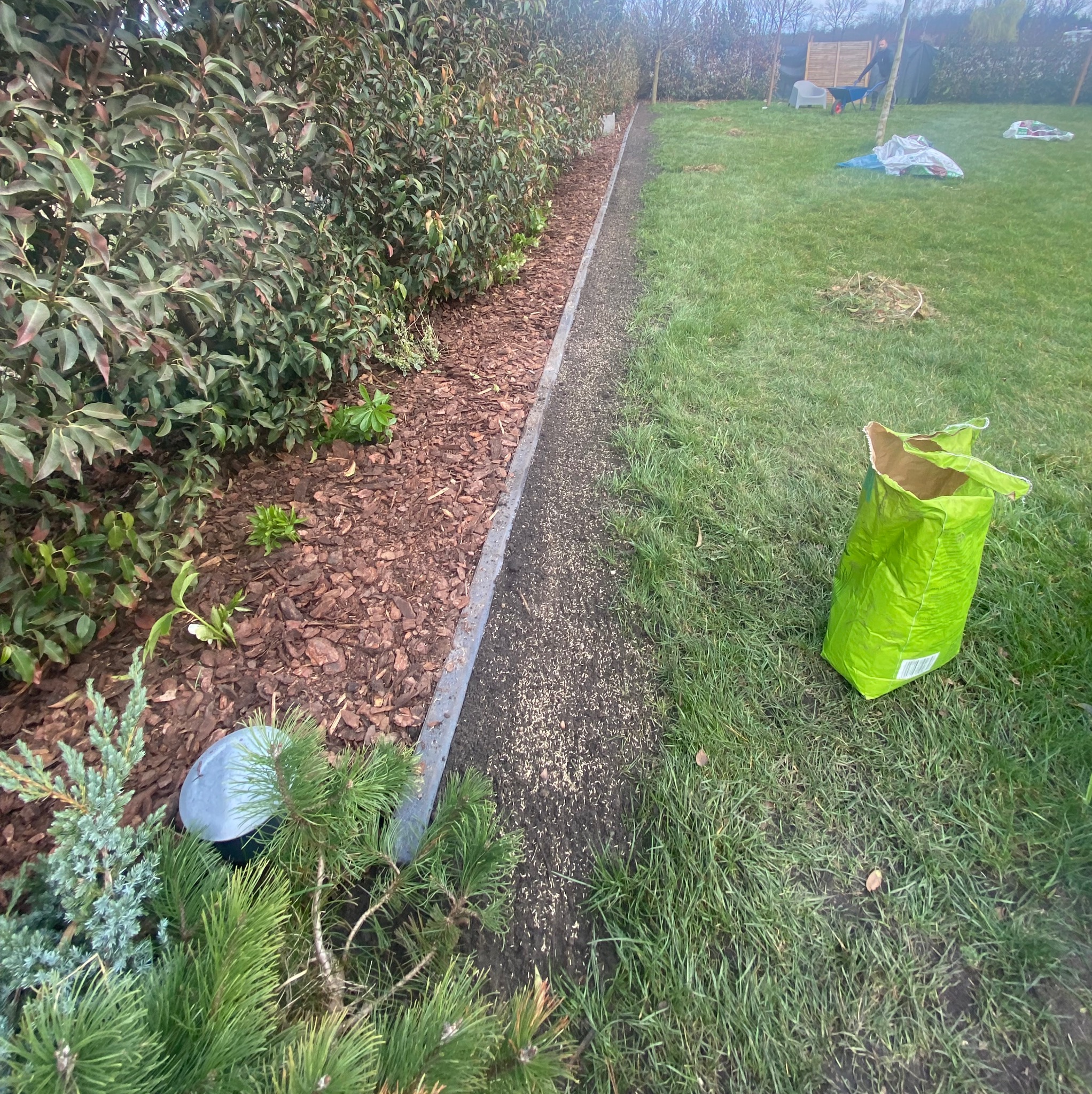 Świeżo obsiana ziemia między trawnikiem a rabatą z korą, obok leży otwarta torba z nasionami trawy.