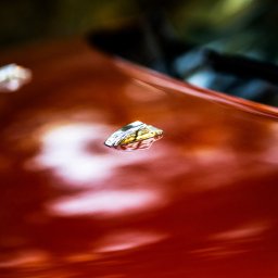 Fotograf Wojnowice 3