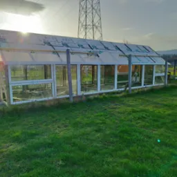 Budowa szklarni z widocznymi panelami dachowymi w trakcie montażu, konstrukcja z białymi ramami okiennymi i drewnianymi słupkami, trawnik w pierwszym planie, słupy wysokiego napięcia w tle.