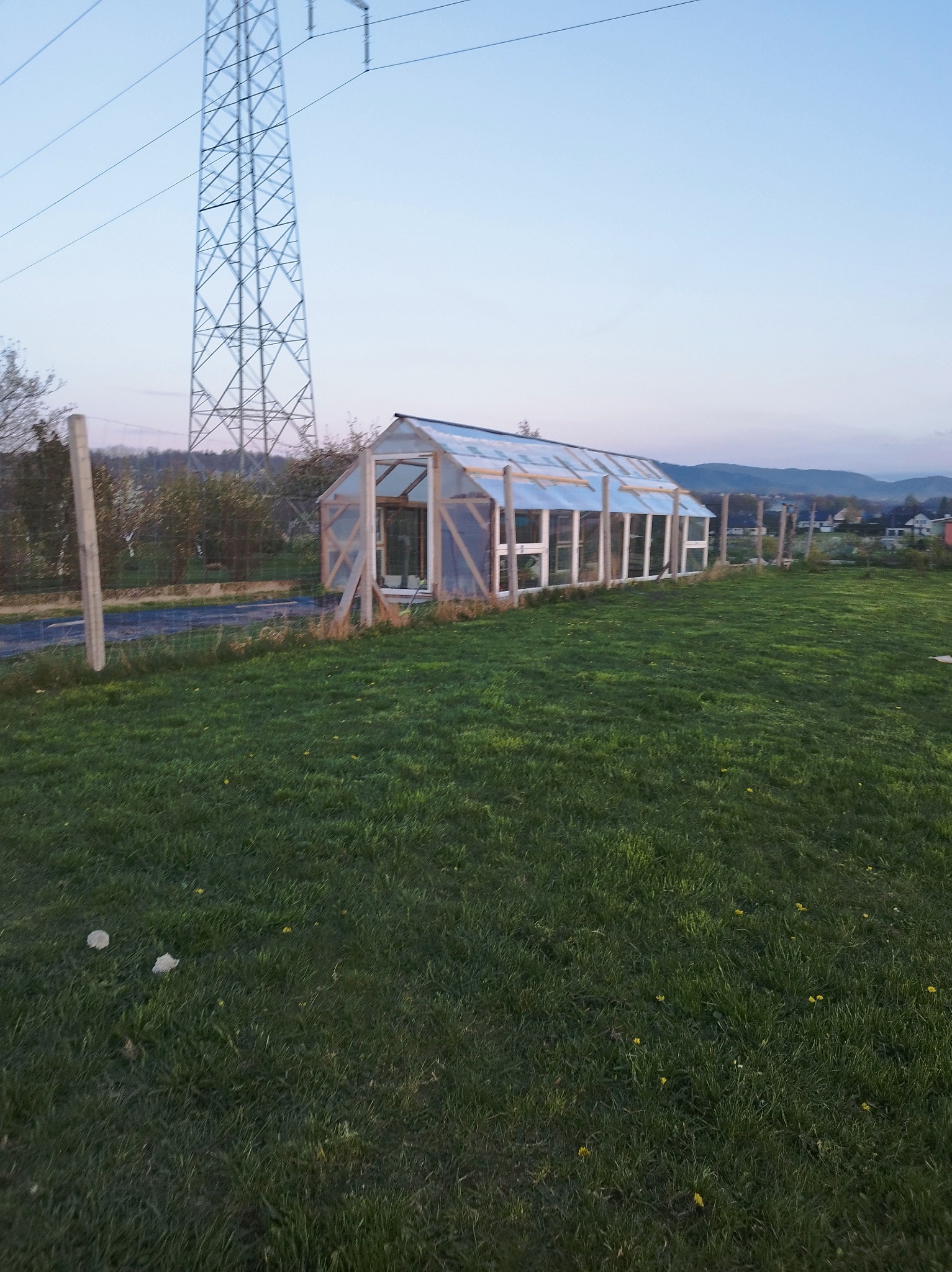 Szklarnia o drewnianej konstrukcji, otoczona zielonym trawnikiem i ogrodzeniem z drewnianych słupków, z widoczną linią wysokiego napięcia w tle, w scenerii zachodzącego słońca.