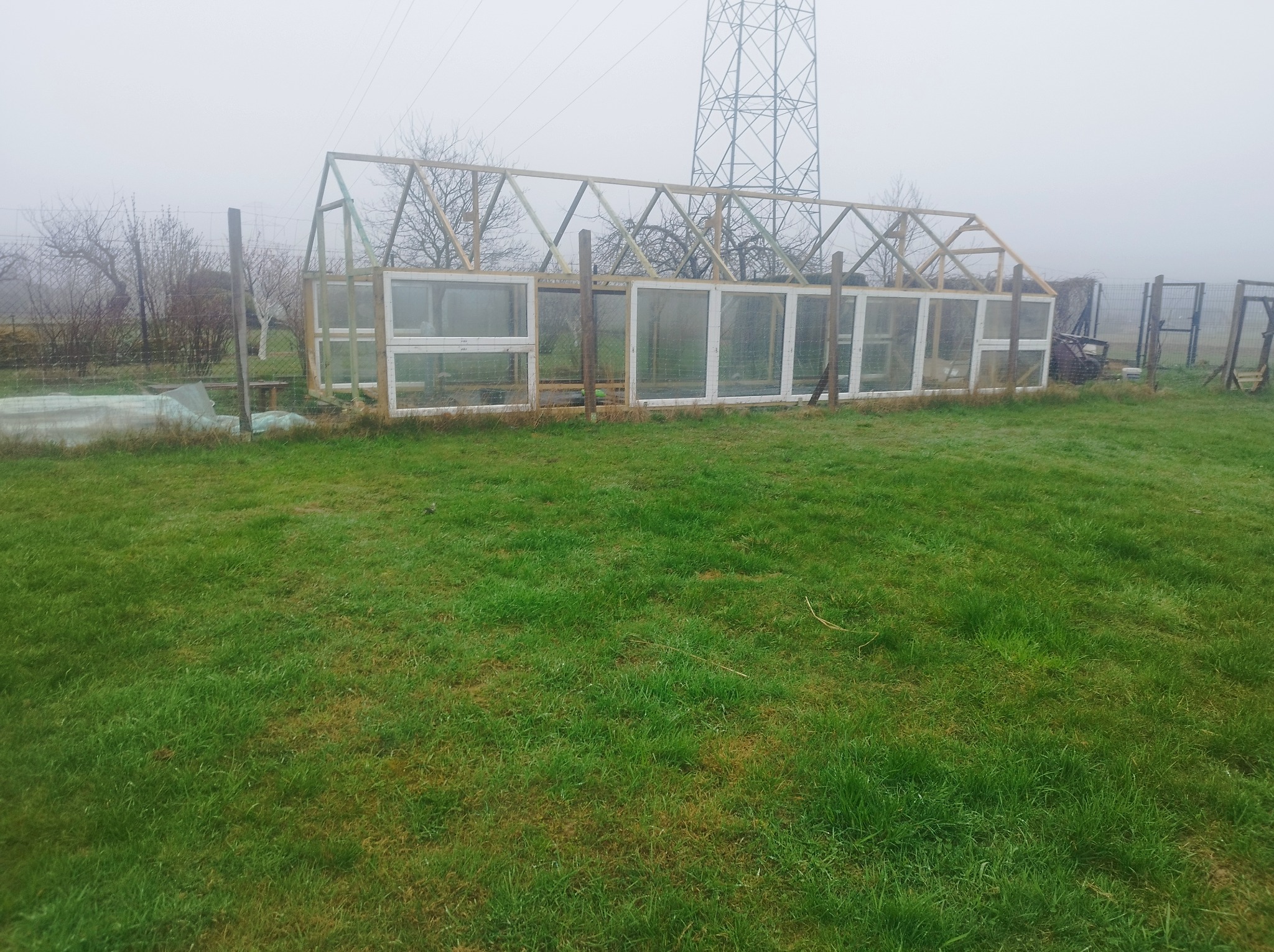 Konstrukcja szklarni z drewnianą ramą i recyklingowanymi oknami, w trakcie budowy na zewnątrz w mglisty dzień, z widoczną linią wysokiego napięcia w tle.
