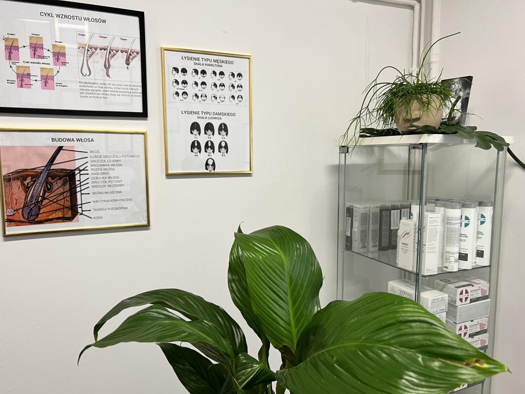 Wnętrze gabinetu kosmetycznego: na ścianie wiszą schematy cyklu wzrostu i budowy włosa oraz klasyfikacja łysienia męskiego i żeńskiego, przed nimi roślina doniczkowa, obok szklana witryna...