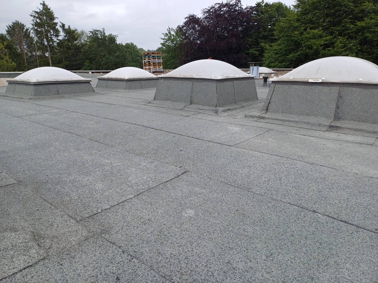 Szary dach pokryty papą z czterema świetlikami kopułowymi, na tle zielonych drzew.