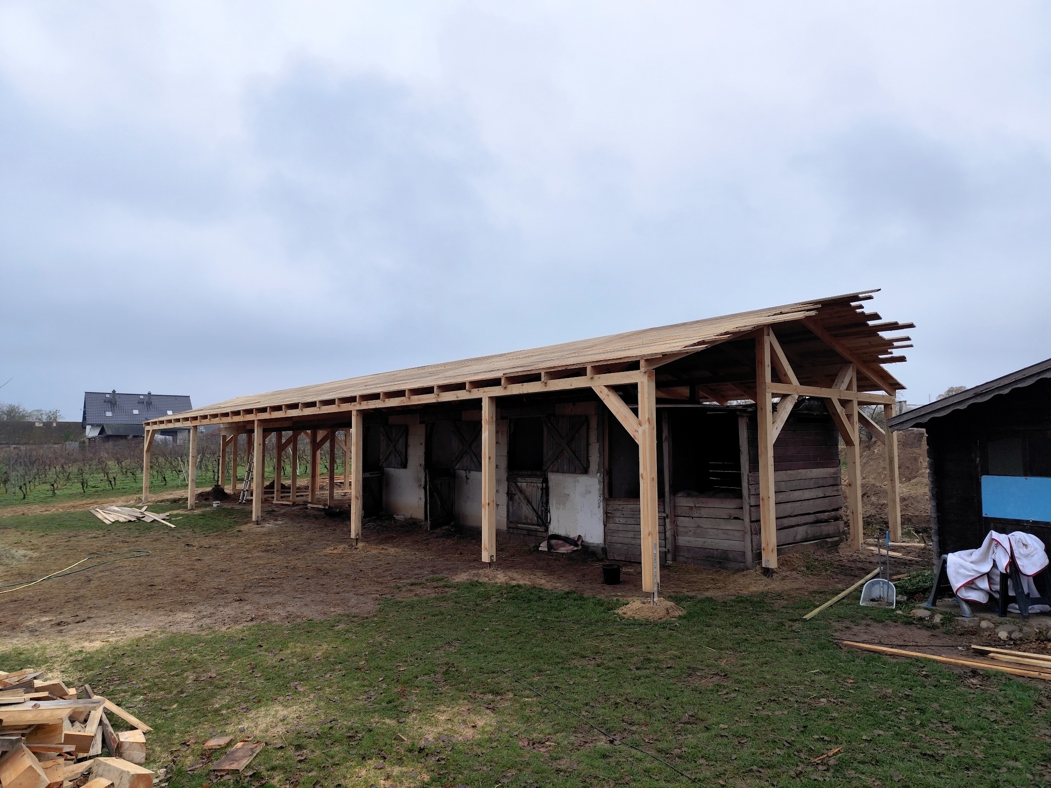 Wznoszenie drewnianej konstrukcji z częściowo ułożonym dachem na zewnątrz budynku gospodarczego z boksami dla zwierząt, widoczne deski i elementy więźby dachowej.