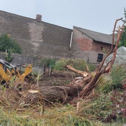 ErdeLux - Żółta koparko-ładowarka Caterpillar 428 usuwa powalone drzewo w ogrodzie, widoczny pracownik w odblaskowej kamizelce, w tle ceglany budynek i szklarnia.