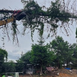 ErdeLux - Żółta koparka CAT podnosi złamane drzewo z czerwonymi linami w tle krajobrazu z drzewami i rozbiórką budynku.