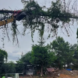 Żółta koparka CAT podnosi złamane drzewo z czerwonymi linami w tle krajobrazu z drzewami i rozbiórką budynku.
