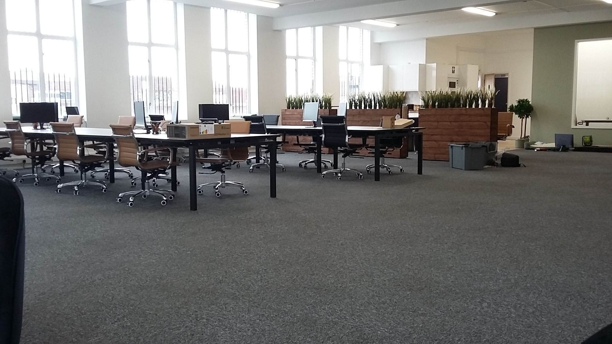 Przestronne biuro z szarym dywanem, biurkami z czarnymi nogami i brązowymi oraz czarnymi krzesłami obrotowymi, rośliny w drewnianych donicach, duże okna z białymi ramami.