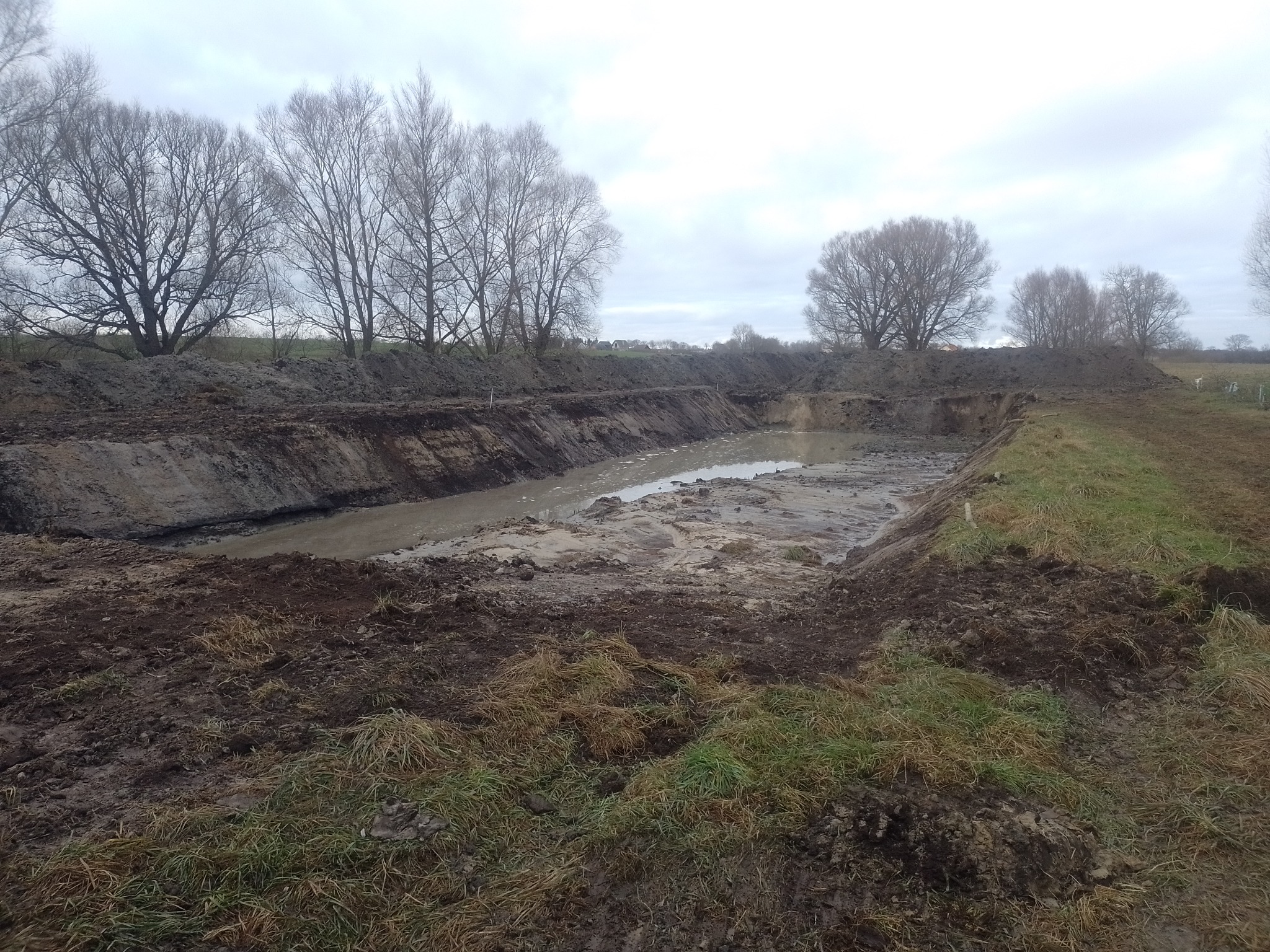 Wykonany wykop pod zbiornik wodny z brzegami uformowanymi z ziemi, w tle drzewa bez liści i pochmurne niebo.