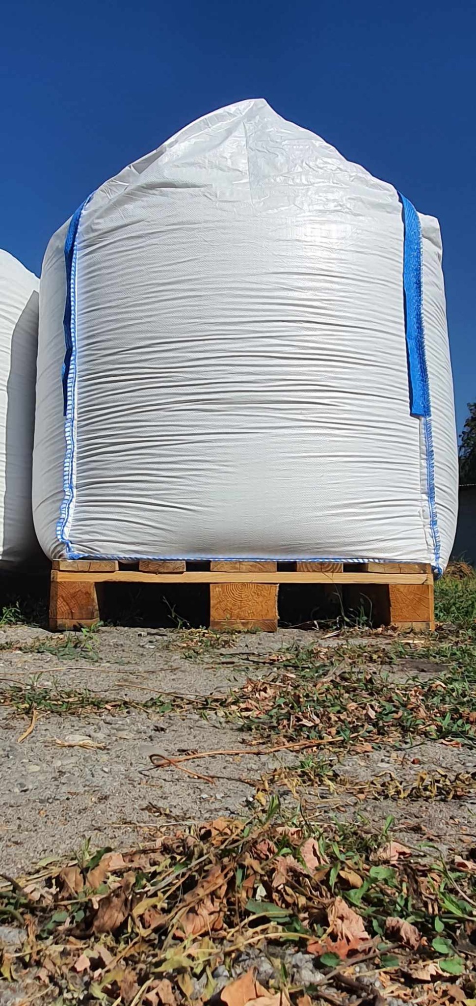 Duży biały worek z nawozem, zabezpieczony niebieskimi pasami, umieszczony na drewnianej palecie, na zewnątrz, widoczne suche liście i trawa na ziemi.