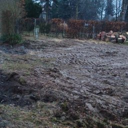 Wycinka drzew Lublin 4