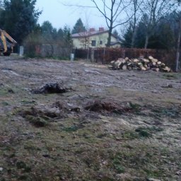 Clean Manager - Teren po wycince drzew: widoczny traktor, przyczepa i stos pociętego drewna na tle domu i zarośli.