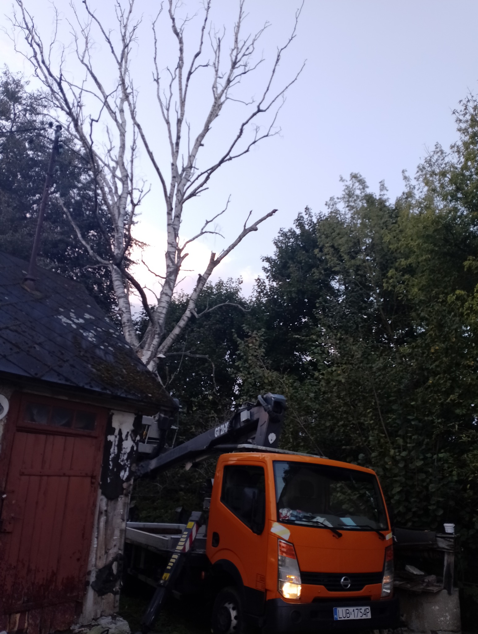 Pomarańczowy samochód ciężarowy z wysięgnikiem zaparkowany obok małego, zaniedbanego budynku z ciemnymi drzwiami, na tle wysokiego, bezlistnego drzewa o białej korze i gęstej zieleni w tle.