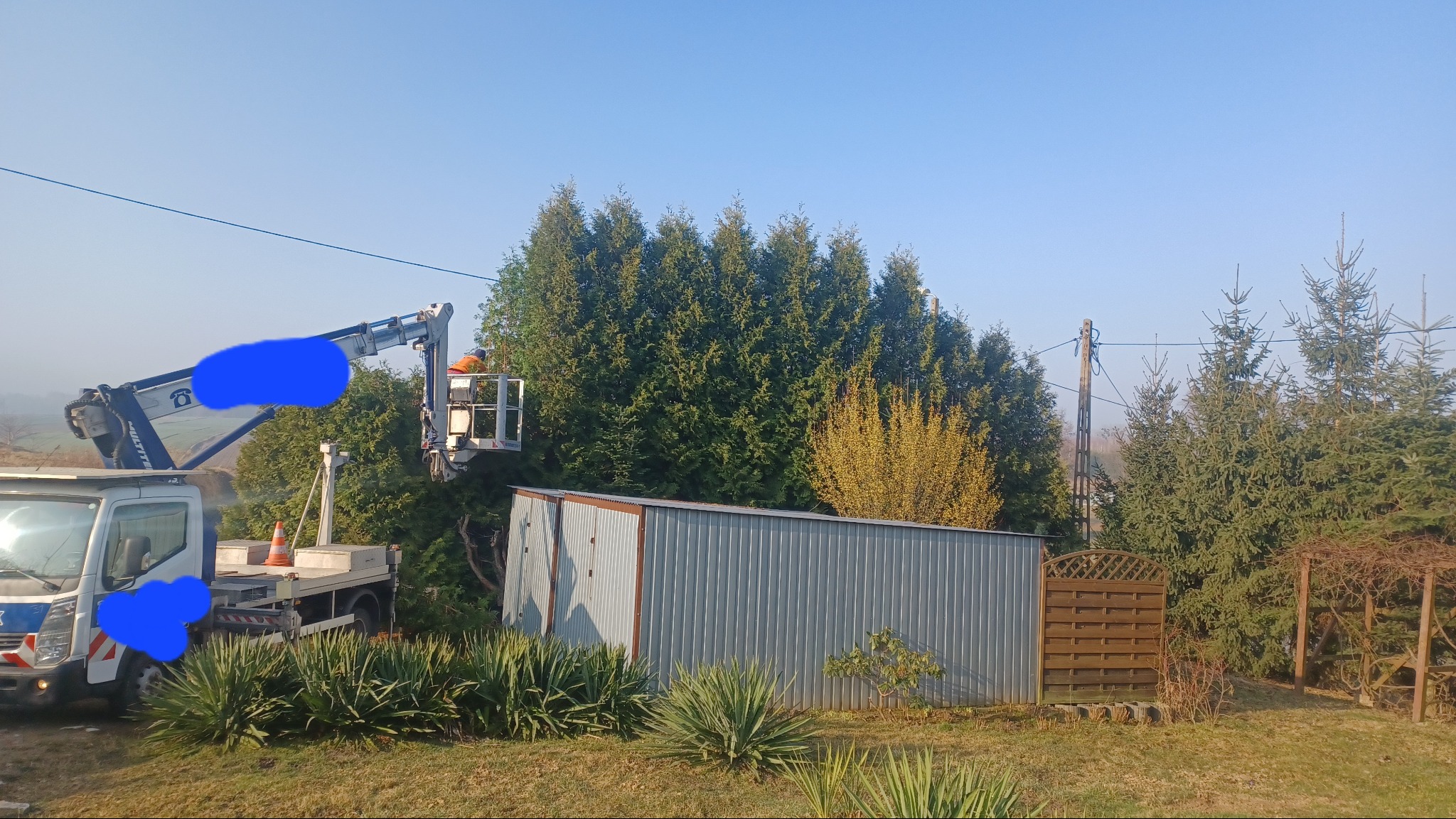 Pracownik w pomarańczowym kombinezonie w koszu podnośnika hydraulicznego, przycina wysokie tuje w ogrodzie, widoczny metalowy garaż i fragment drewnianego płotu.