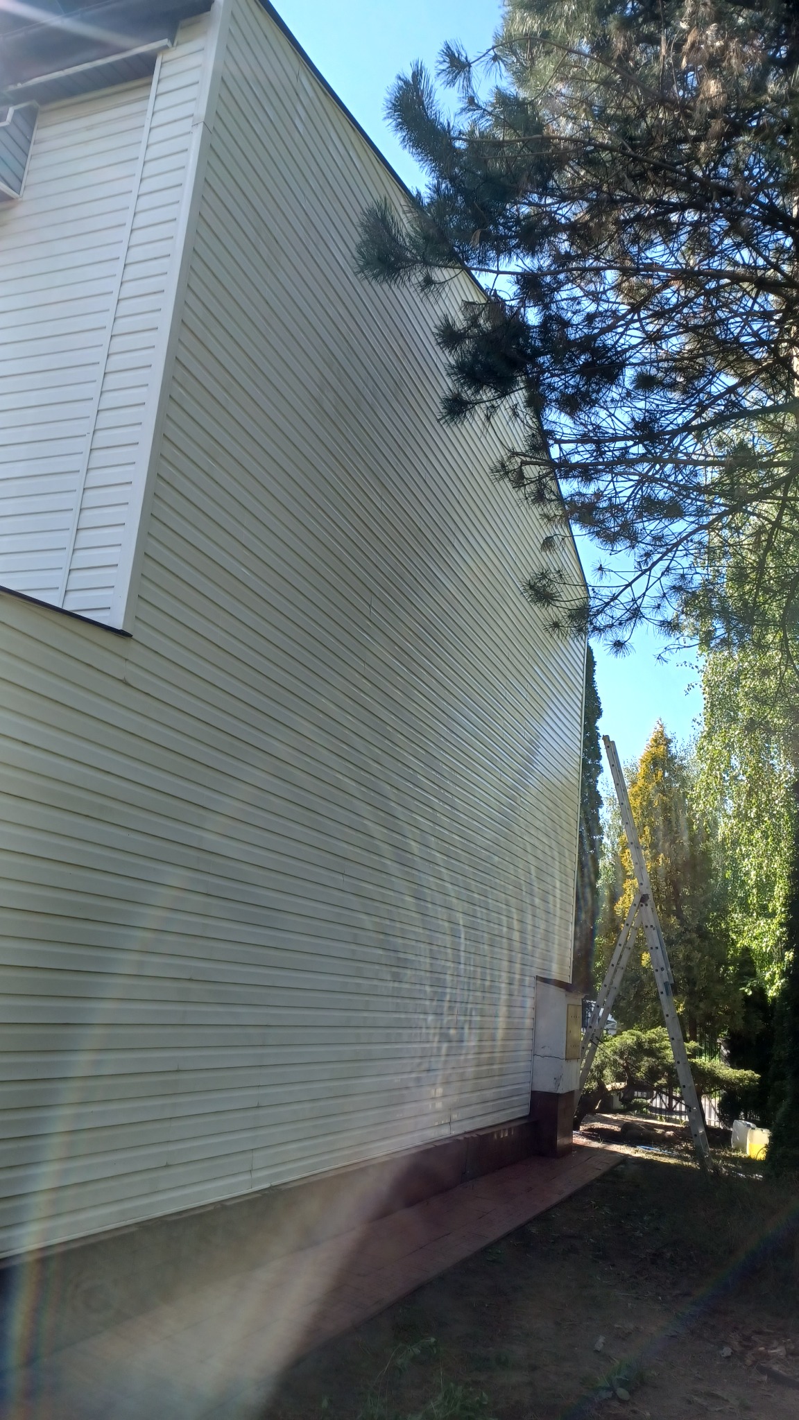 Elewacja budynku z sidingu w Lublinie, widok z dołu. Obok drzewa i drabina oparta o ścianę. Jasne, naturalne światło słoneczne.
