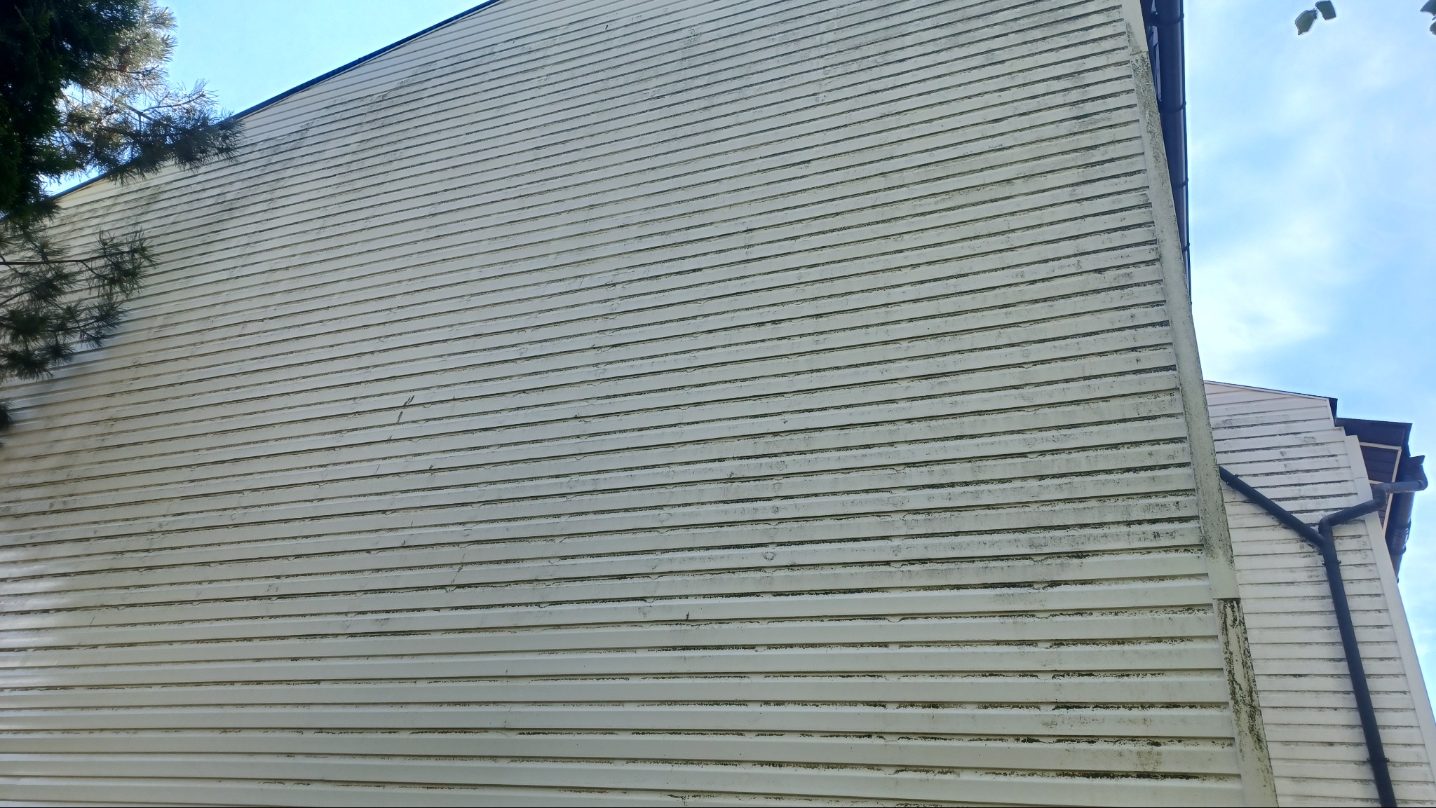 Zabrudzona, biała elewacja budynku z drewnianą boazerią, widoczna z dołu pod kątem. Fragment drzewa w lewym górnym rogu, rynna po prawej stronie. Ślady zabrudzeń i zacieków.