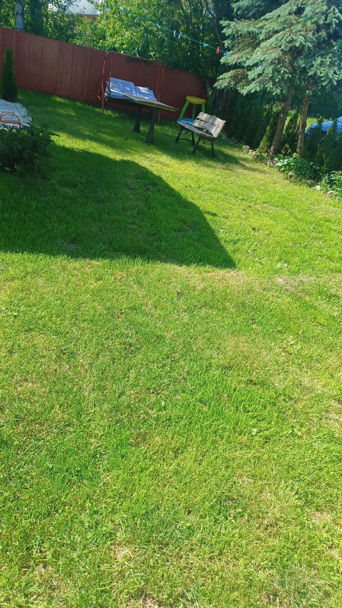 Zadbany trawnik w ogrodzie z meblami ogrodowymi i zielonymi drzewami w tle, oświetlony naturalnym światłem słonecznym.