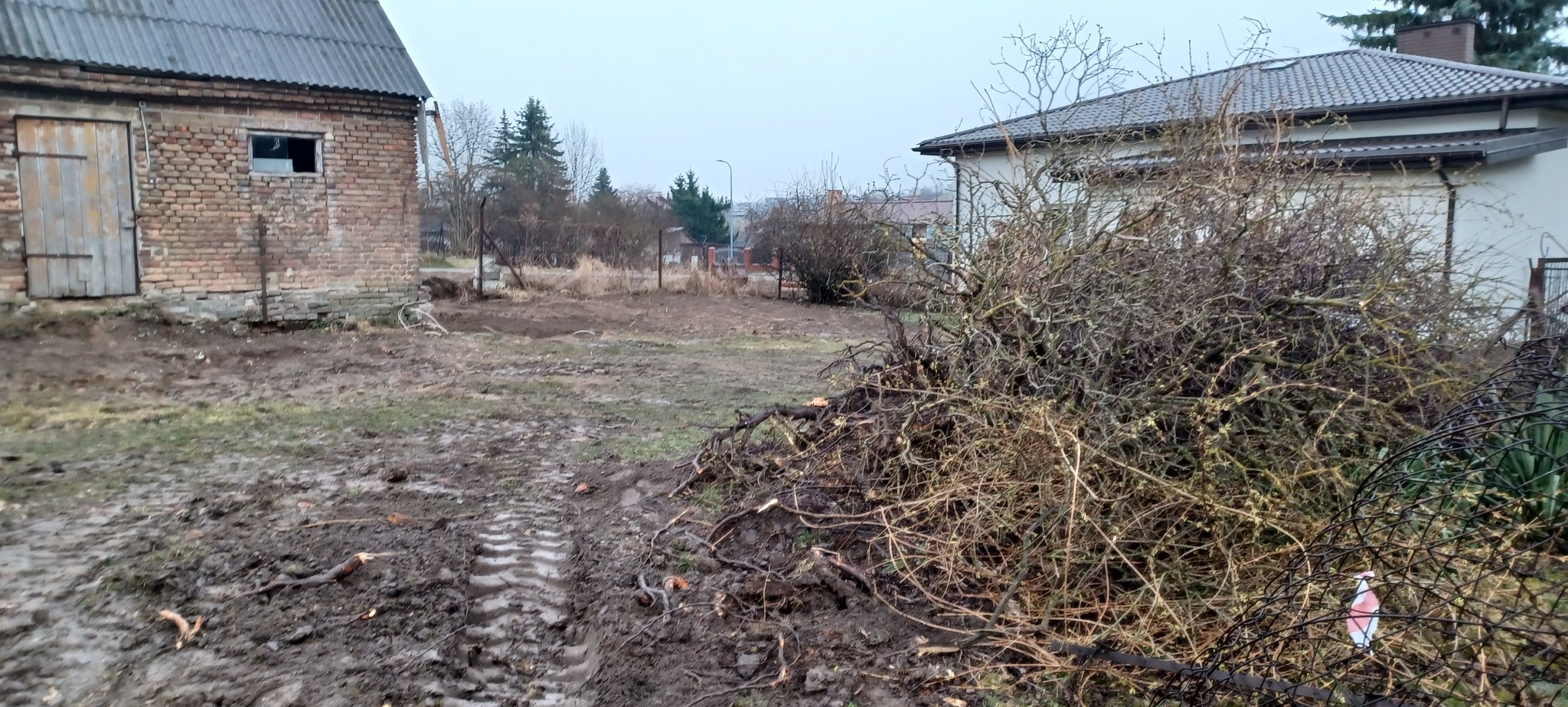 Teren po wycince drzew i krzewów, widoczne ślady opon na błotnistej ziemi. W tle budynek gospodarczy z cegły i dom jednorodzinny. Pochmurny dzień.